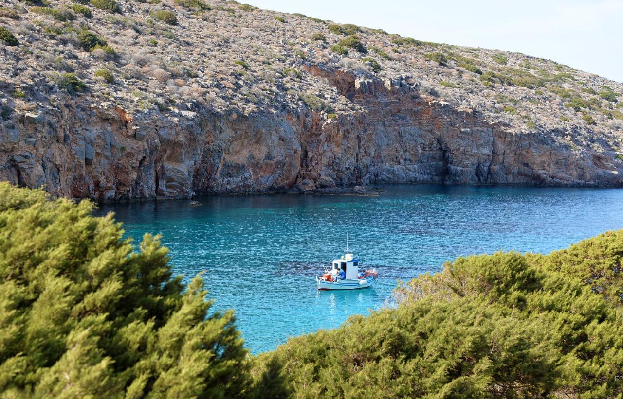 Olive Coast Suites Palekastro Dış mekan fotoğraf